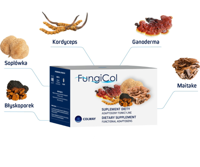 FUNGICOL - grzyby chińskie  NOWOŚĆ