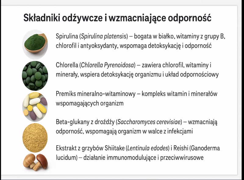 Zrzut ekranu 2025-05-20 o 19.31.11.png